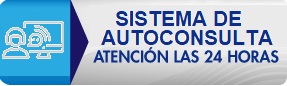 botón auto consulta