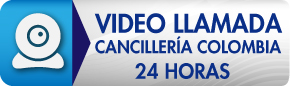 botón videollamada