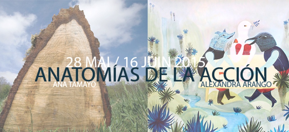 Alexandra Arango y Ana Tamayo, exposición en el consulado de colombia en parís 