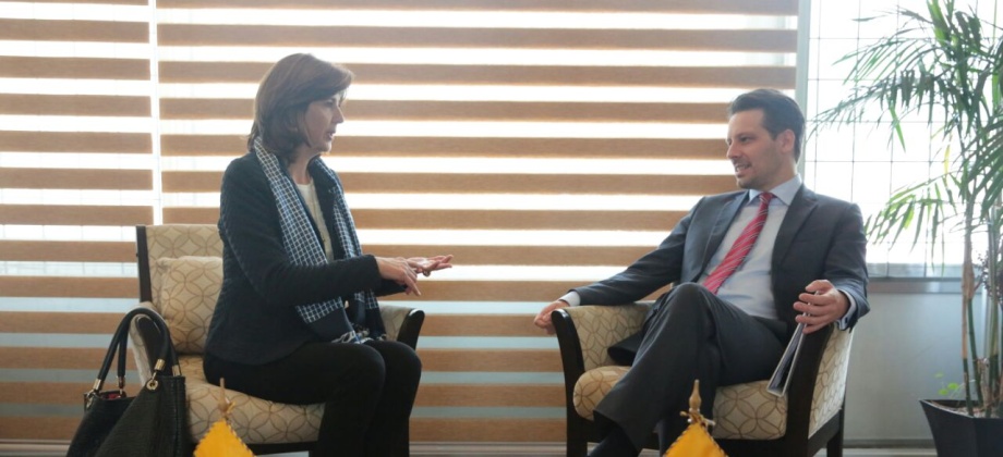 La Ministra de Relaciones Exteriores de Colombia, María Ángela Holguín y su homólogo de Ecuador, Guillaume Long, sostuvieron una reunión bilateral en la cual discutieron algunos temas de preparación del Encuentro Presidencial y V Gabinete Binacional. 