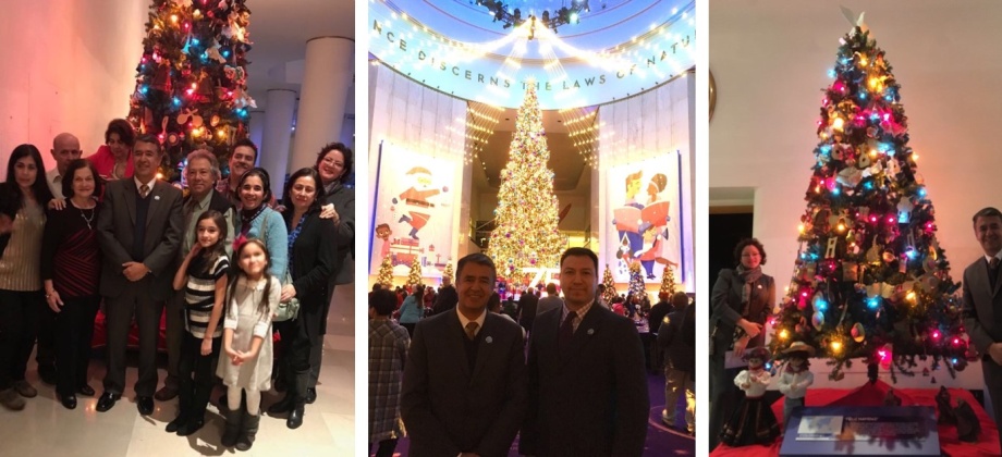 Colombia participa en la exposición de árboles de Navidad en Chicago