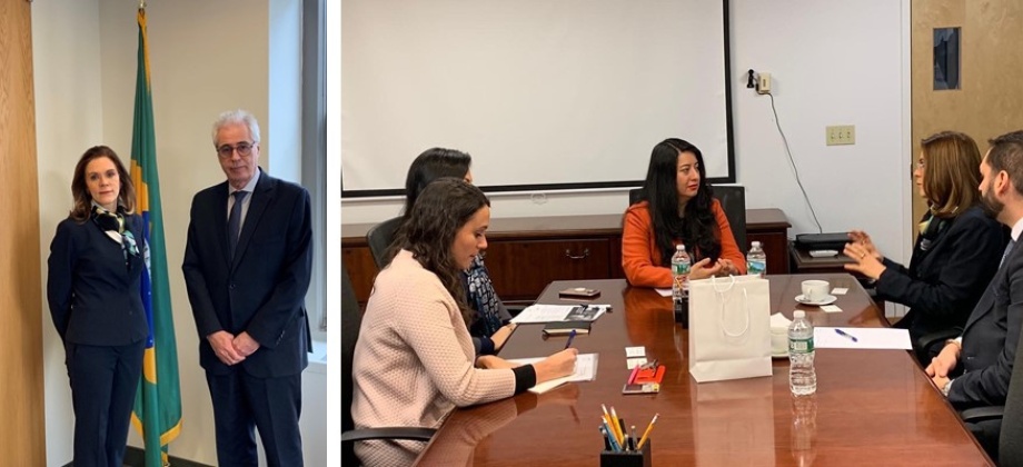 La Cónsul de Colombia sostuvo un encuentro con sus homólogos de México y Brasil