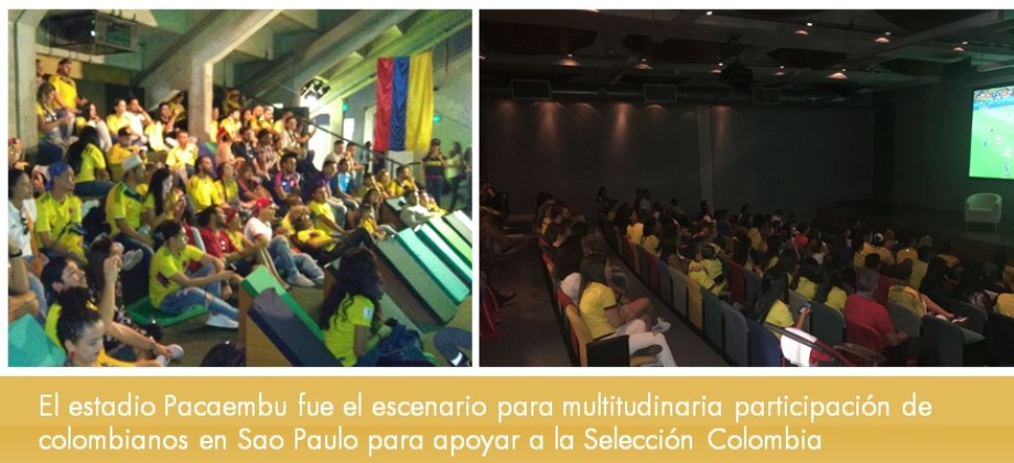 Estadio Pacaembu fue el escenario para multitudinaria participación de colombianos en Sao Paulo para apoyar a la Selección Colombia