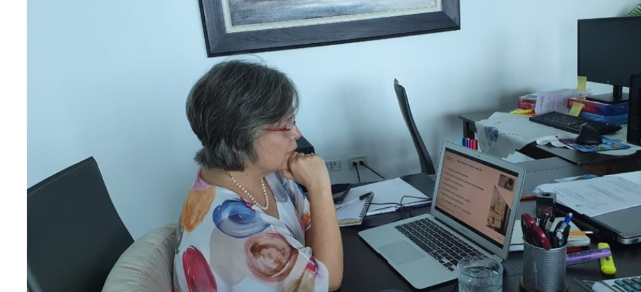 Embajadora participó en evento virtual organizado por la Organización Internacional