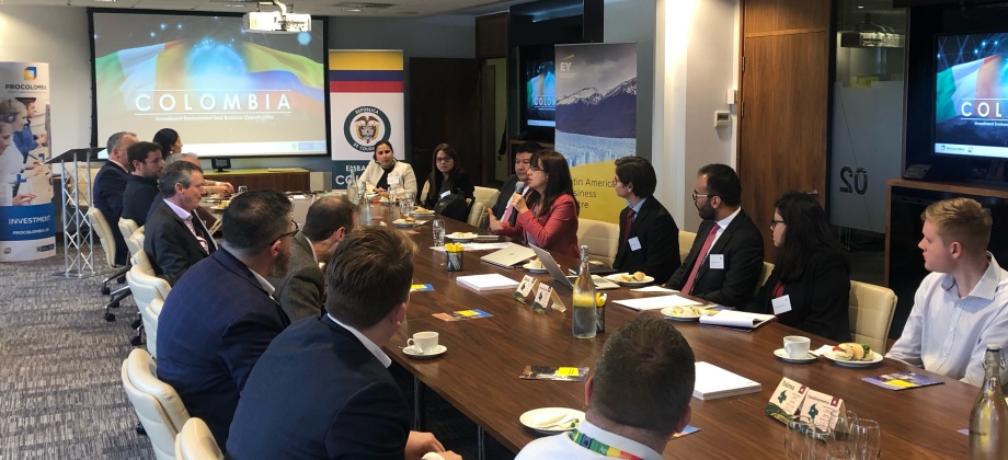 Empresarios irlandeses conocieron proyectos concretos de inversión en Colombia presentados por Agencias de Promoción 