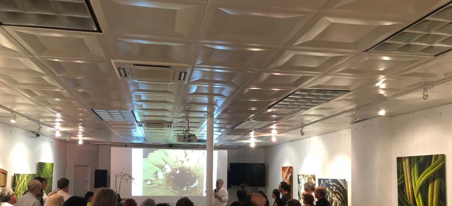 Paisajes colombianos y la belleza de las palmas de cera se expusieron en la galería del Consulado en Nueva York