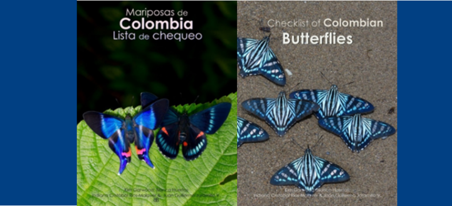 Colombia: el país con más especies de mariposas del planeta