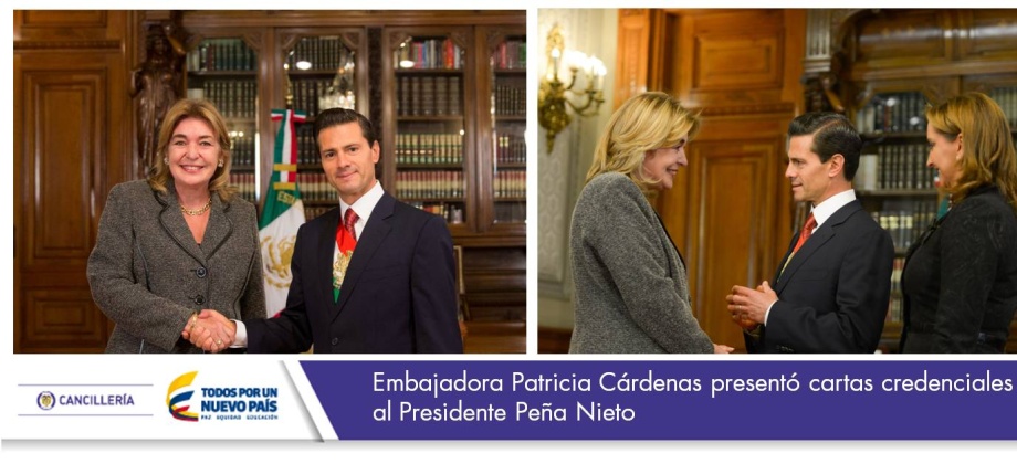 Embajadora Patricia Cárdenas presentó cartas credenciales al Presidente Peña Nieto