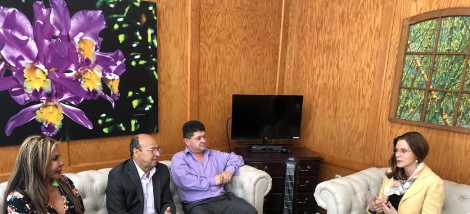 Cónsul Susana Berenguer se reunió con representantes de la organización de colombianos América Viva