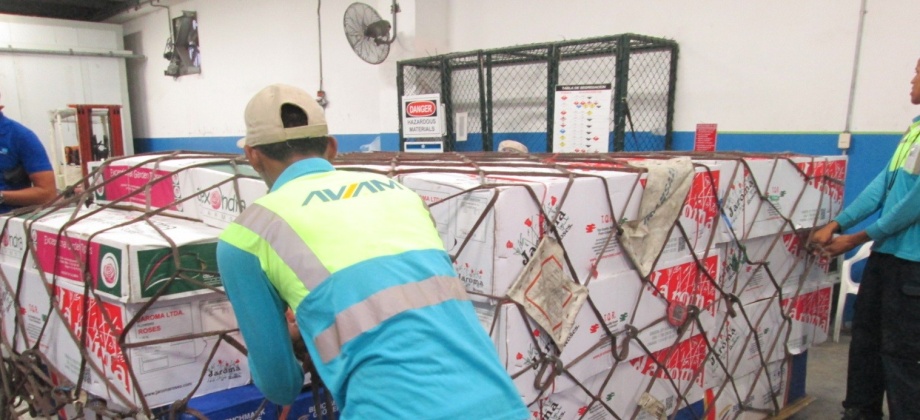 Primer envío de flores colombianas desde el aeropuerto de Punta Cana 