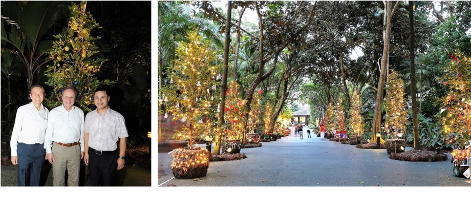 Colombia participó en exposición 'Árboles del mundo' en el Jardín Botánico de Singapur