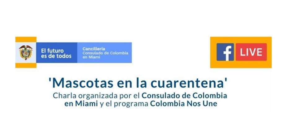 "Mascotas en la cuarentena", la charla virtual de este miércoles del Consulado de Colombia en Miami 